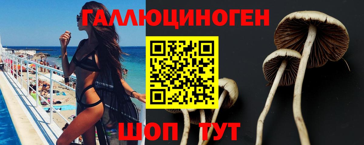 Псилоцибиновые грибы прущие грибы Новотроицк
