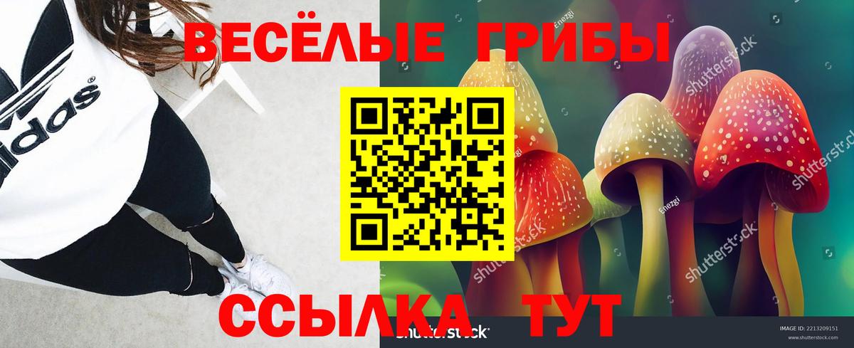 Псилоцибиновые грибы GOLDEN TEACHER  Вход с VPN  Новотроицк 